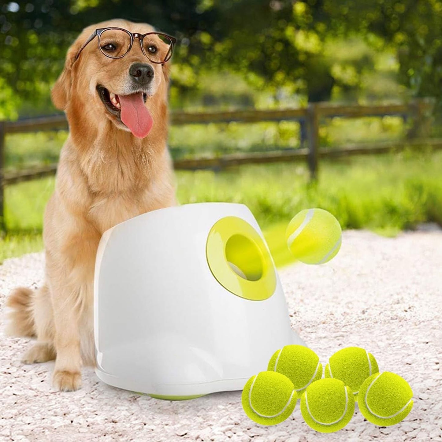 Automatic Tennis Ball Launcher for Dogs