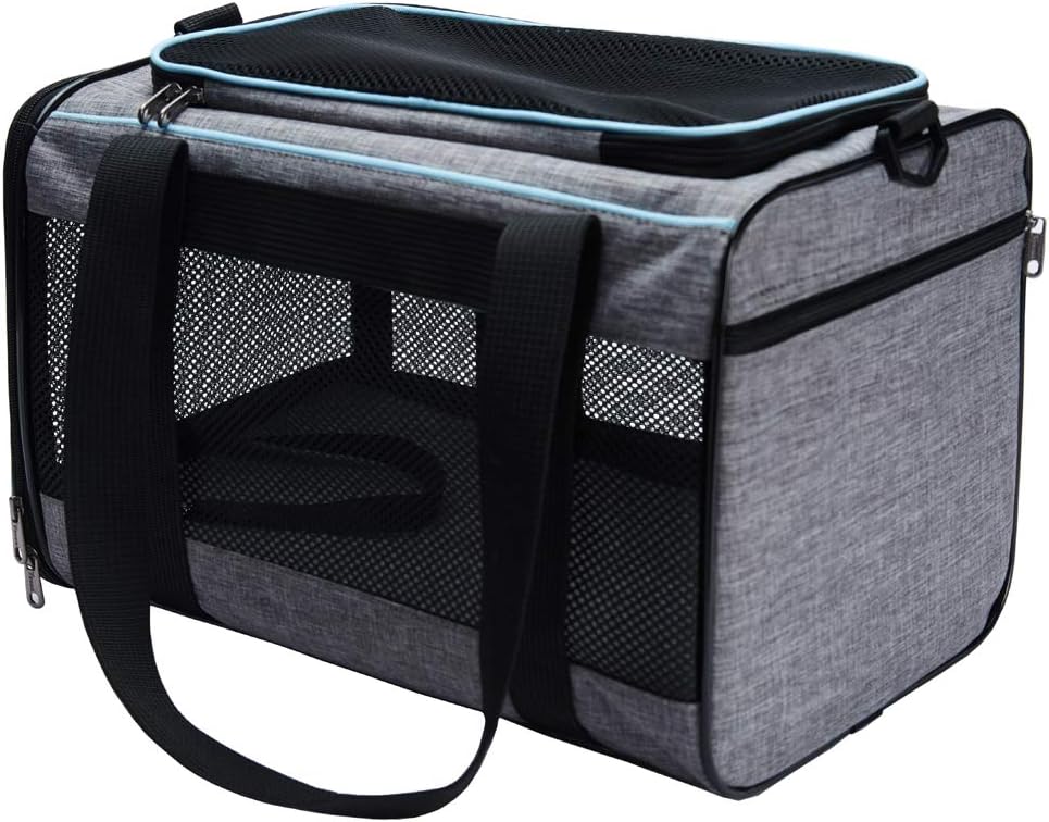 Pet Travel Carrier