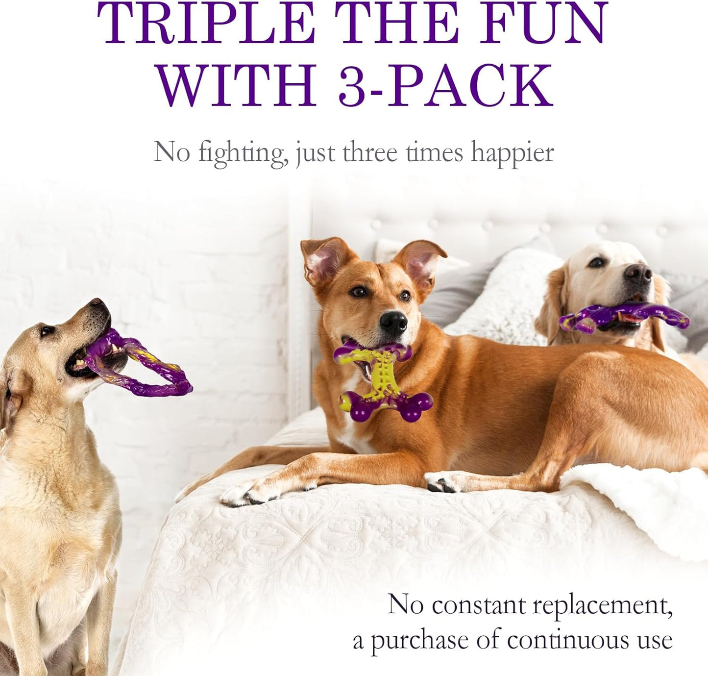 3-Pack Tough Chewer Dog Toys