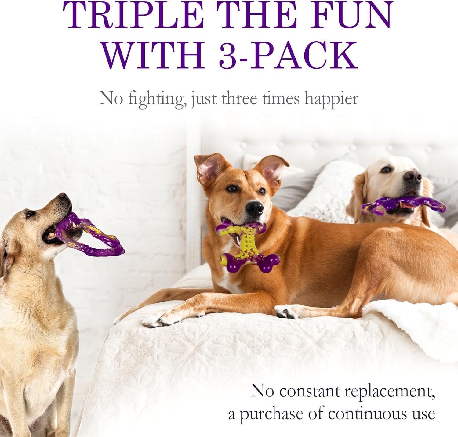 3-Pack Tough Chewer Dog Toys