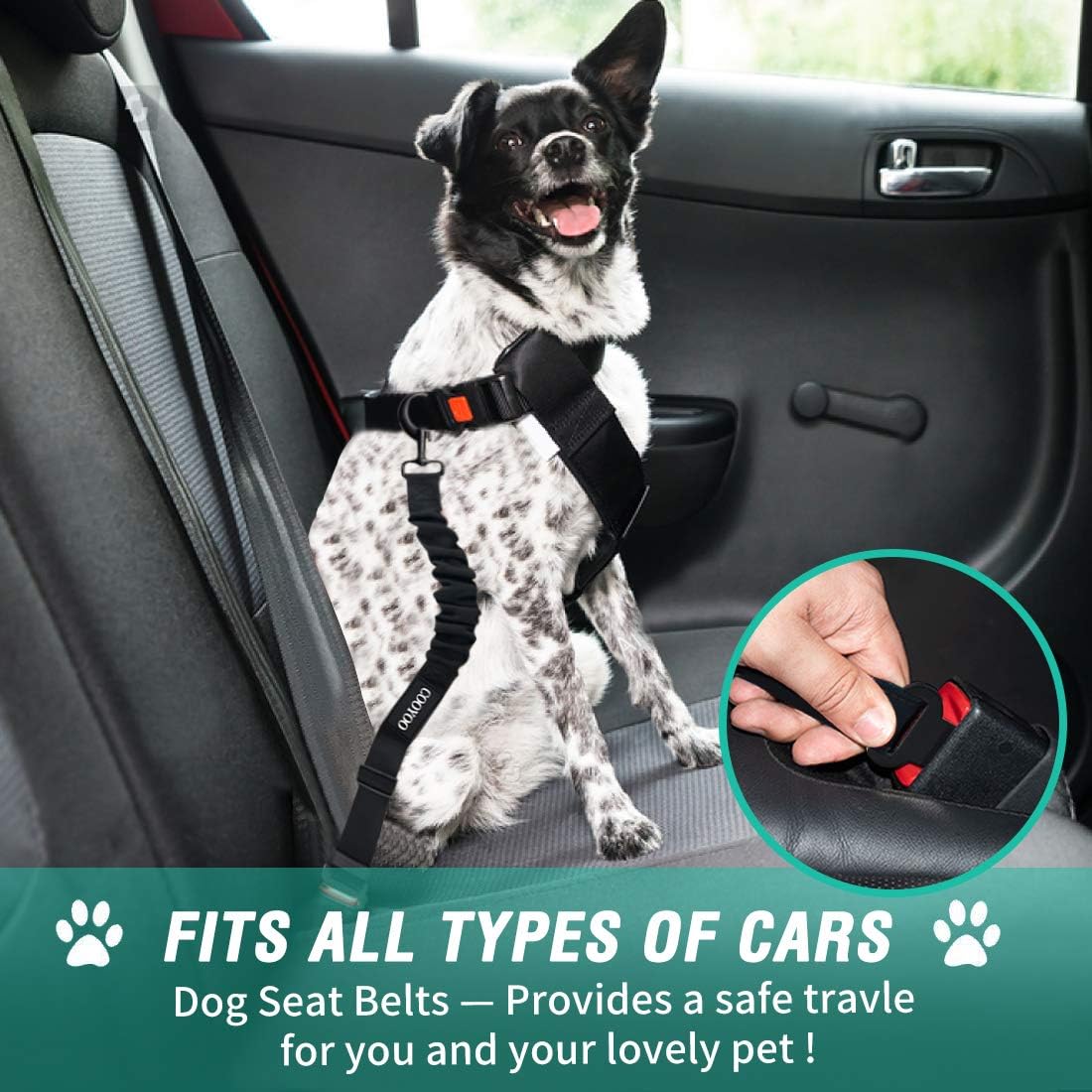 Elastic Dog Seat Belt