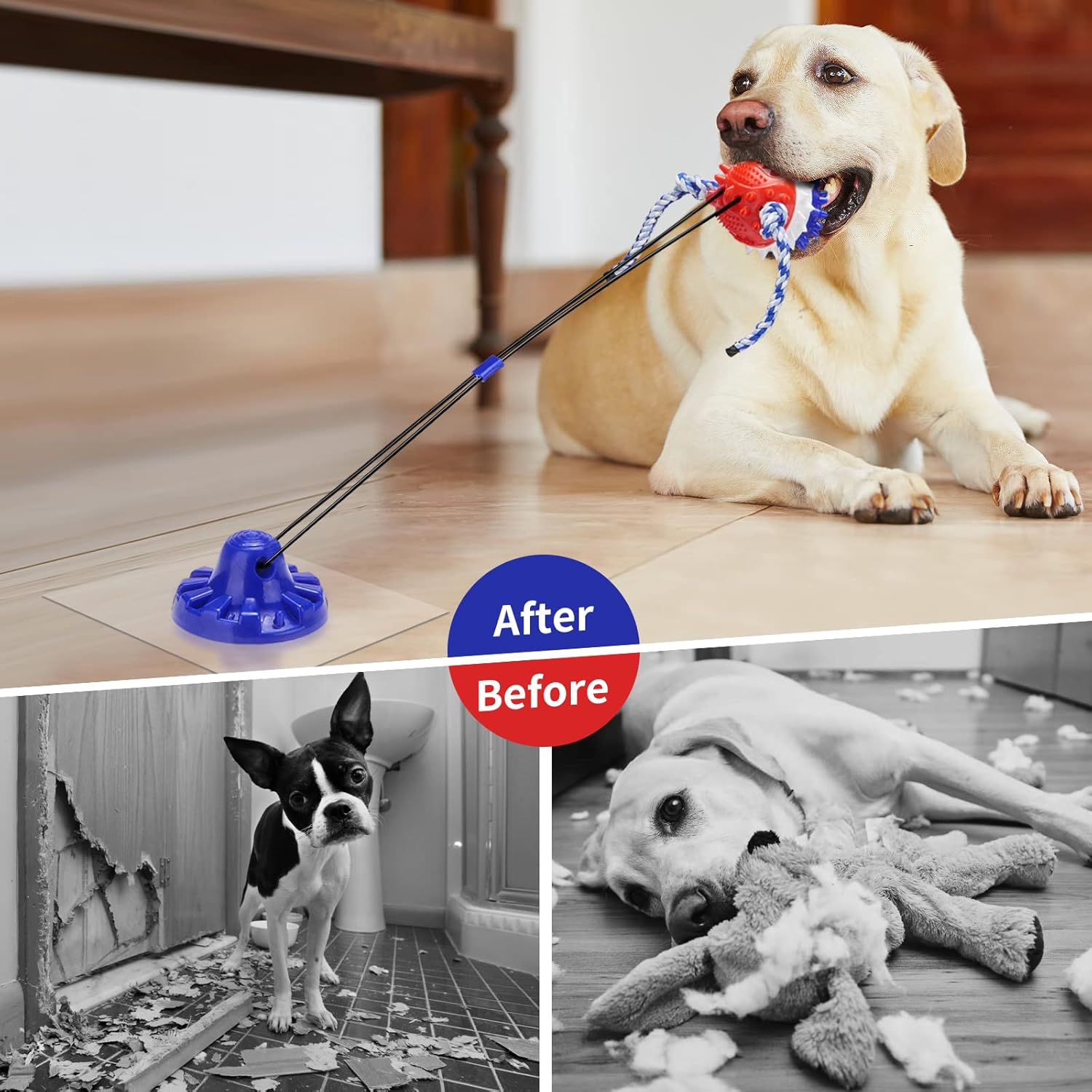 Suction Cup Tug of War Dog Toy