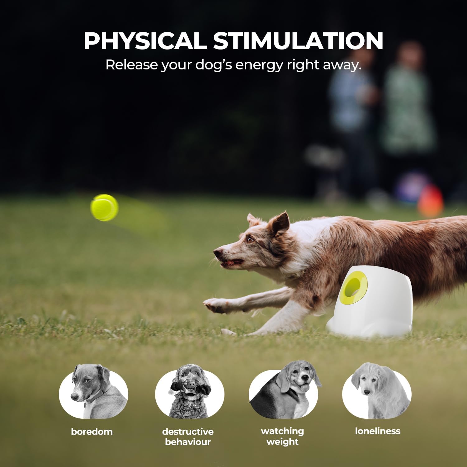 Automatic Tennis Ball Launcher for Dogs