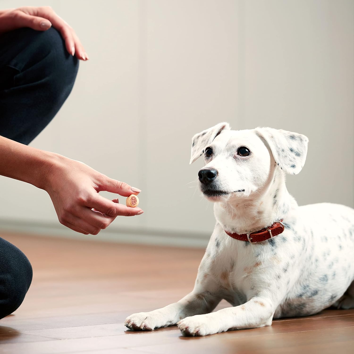 Marosnacks Small Dog Treats