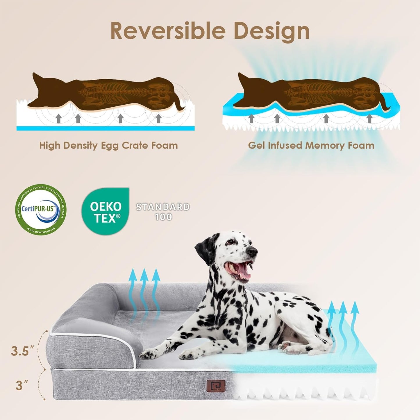 Orthopedic Dog Bed