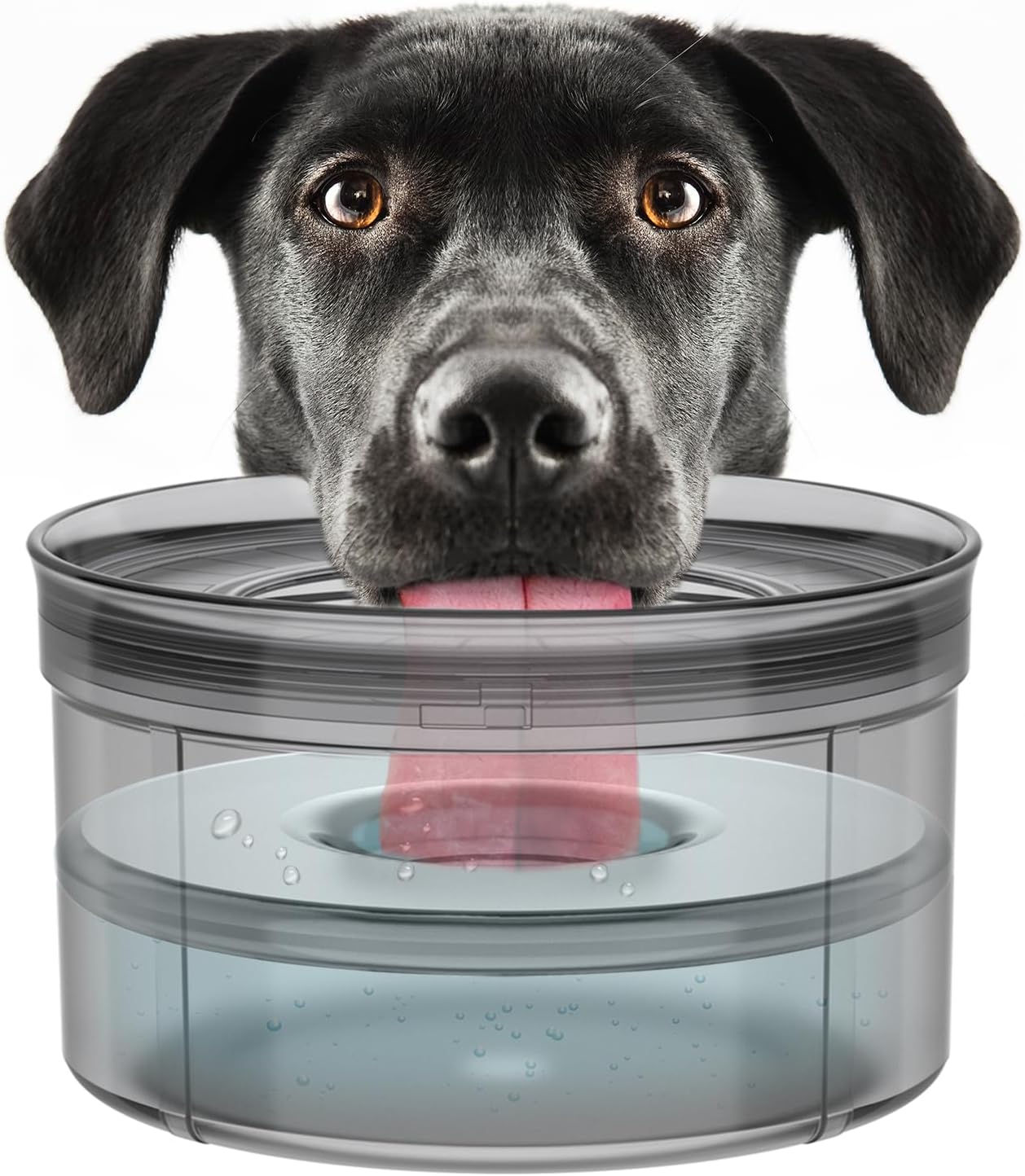 1-Gallon Spill-Proof Dog Water Bowl