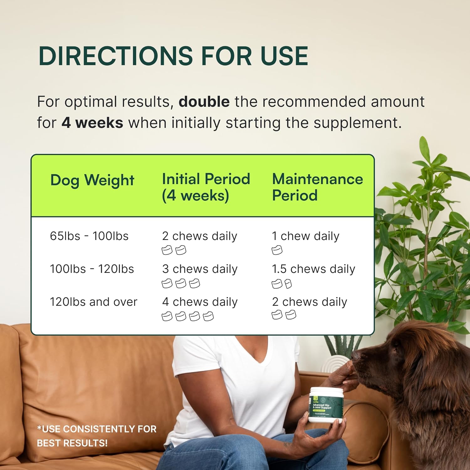 Chewable Dog Hip & Joint Supplement