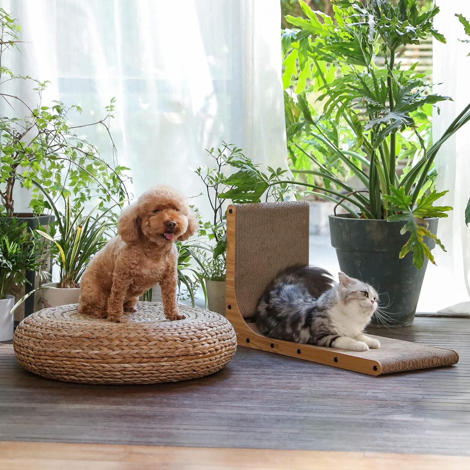 Cat Scratcher Wall