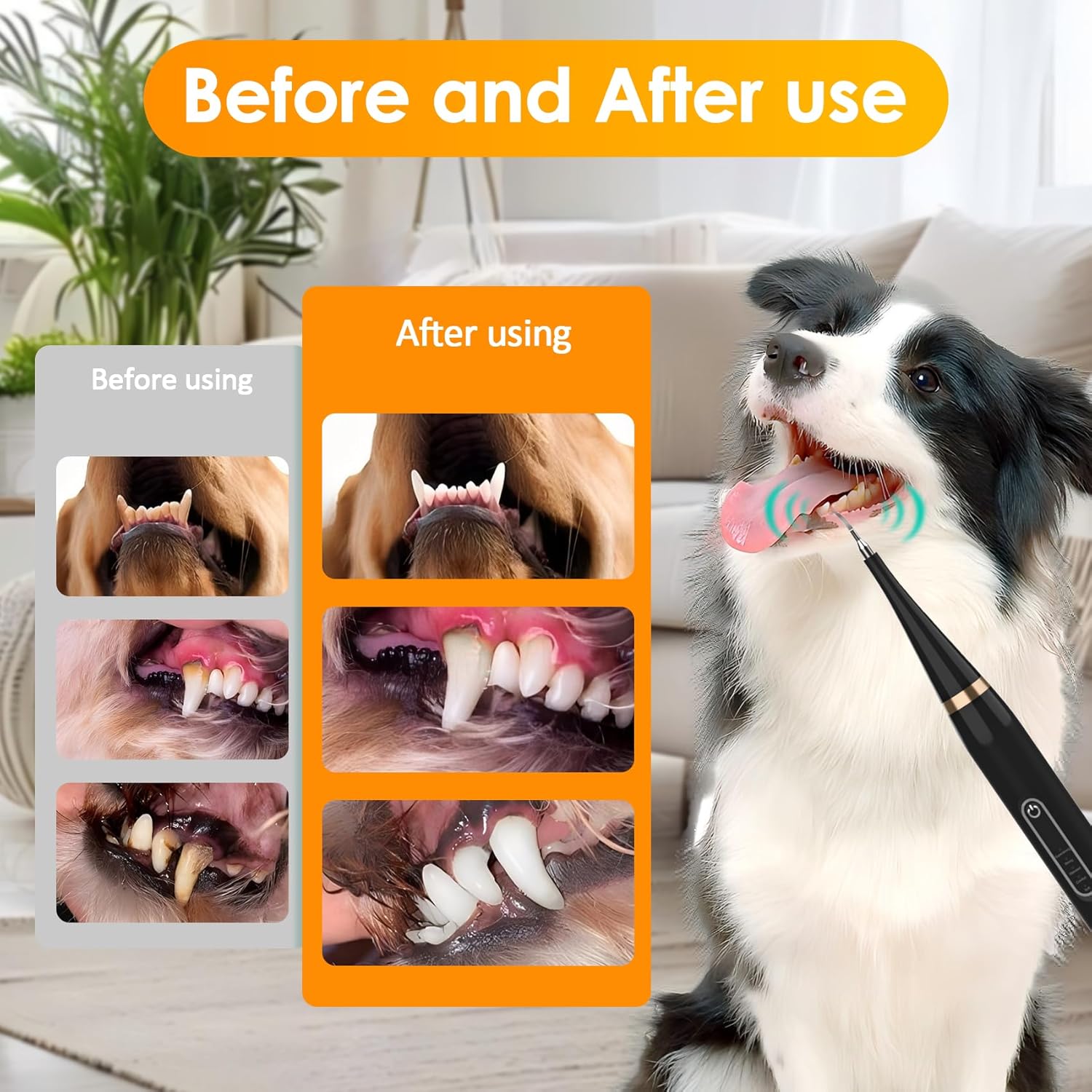 Electric Toothbrush Set for Dogs