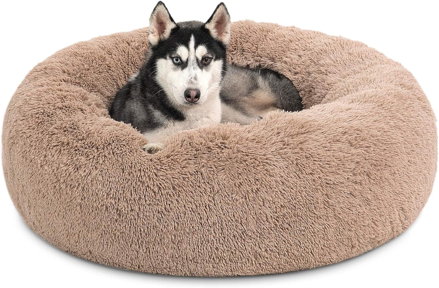 Donut Dog Bed