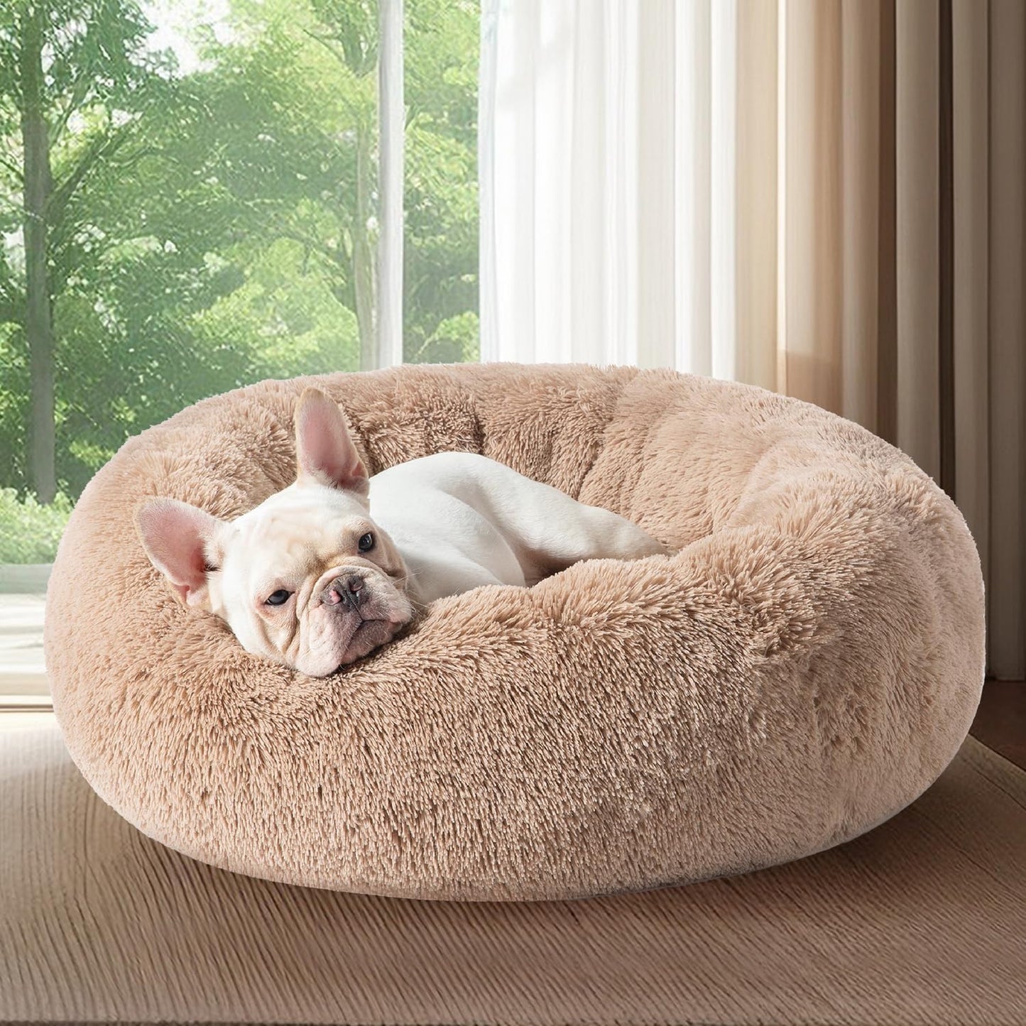 Donut Dog Bed