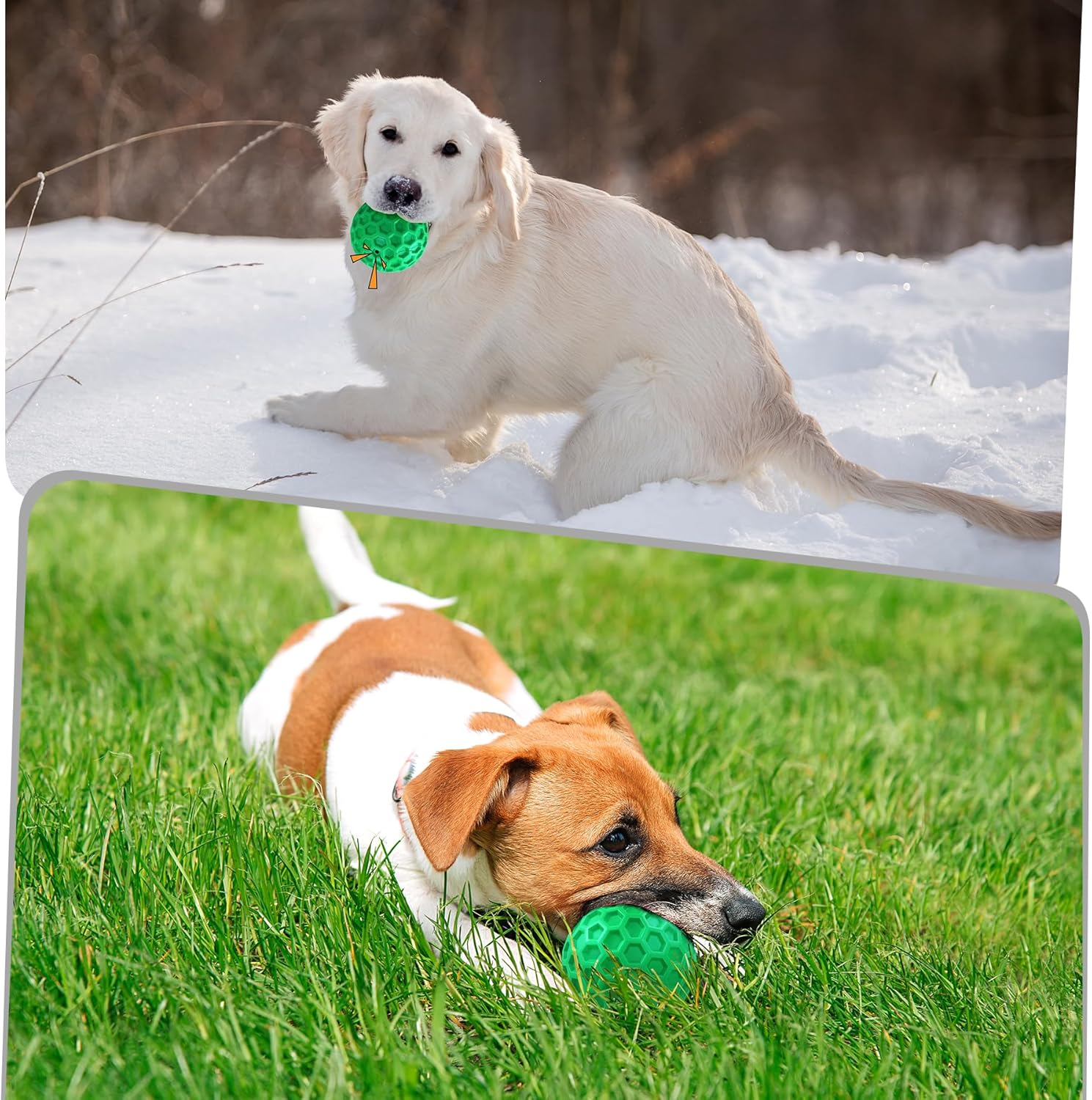 Heavy Duty Dog Ball Toy