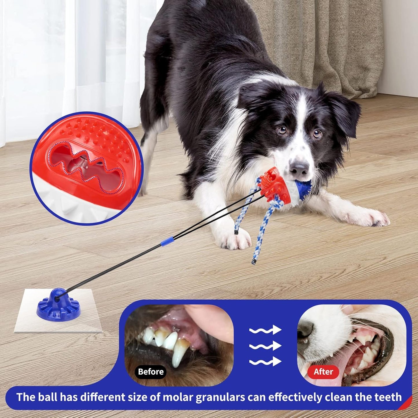 Suction Cup Tug of War Dog Toy