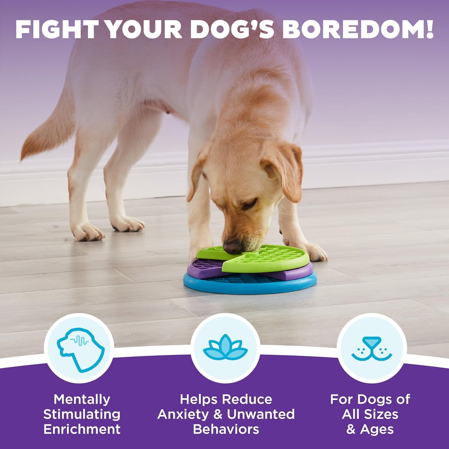 Dog Puzzle Feeder