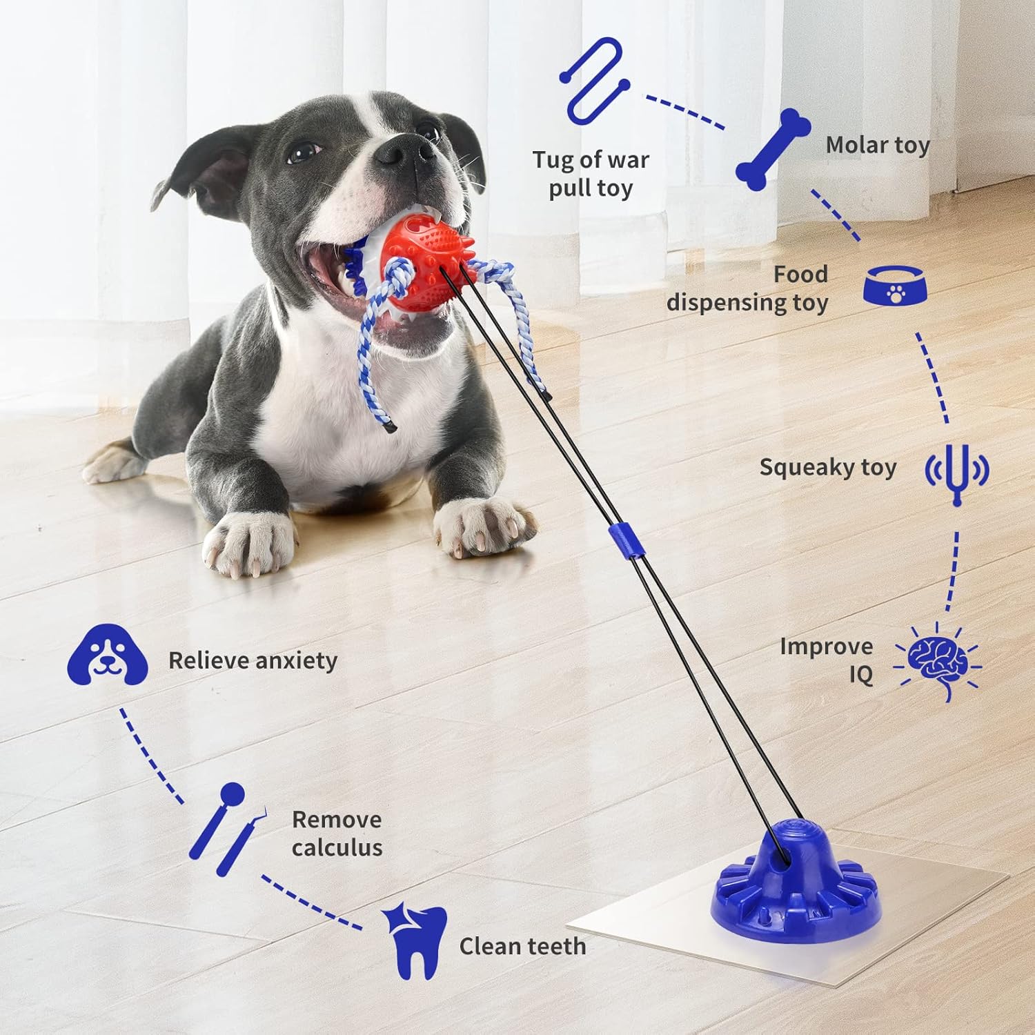 Suction Cup Tug of War Dog Toy