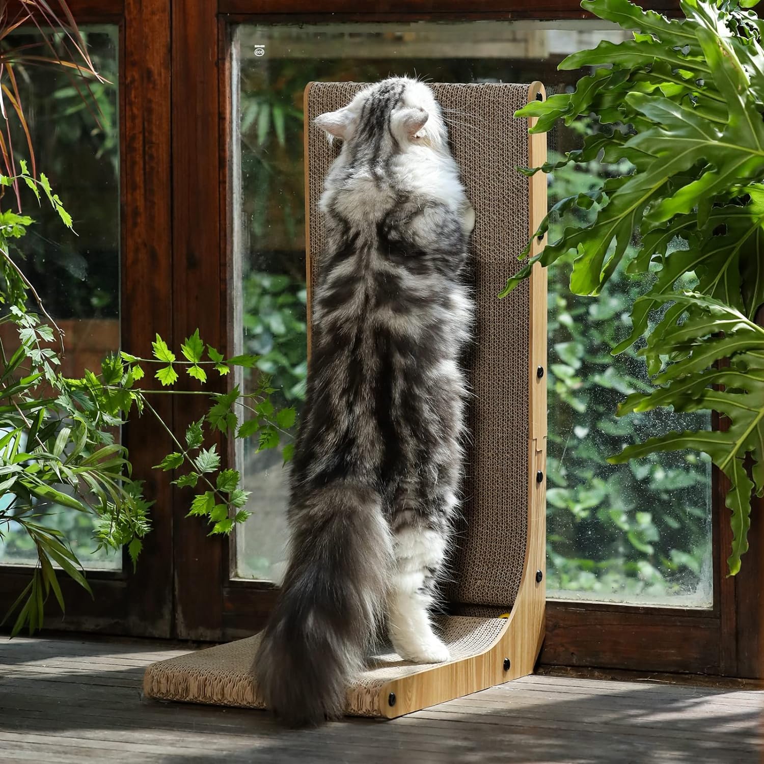 Cat Scratcher Wall