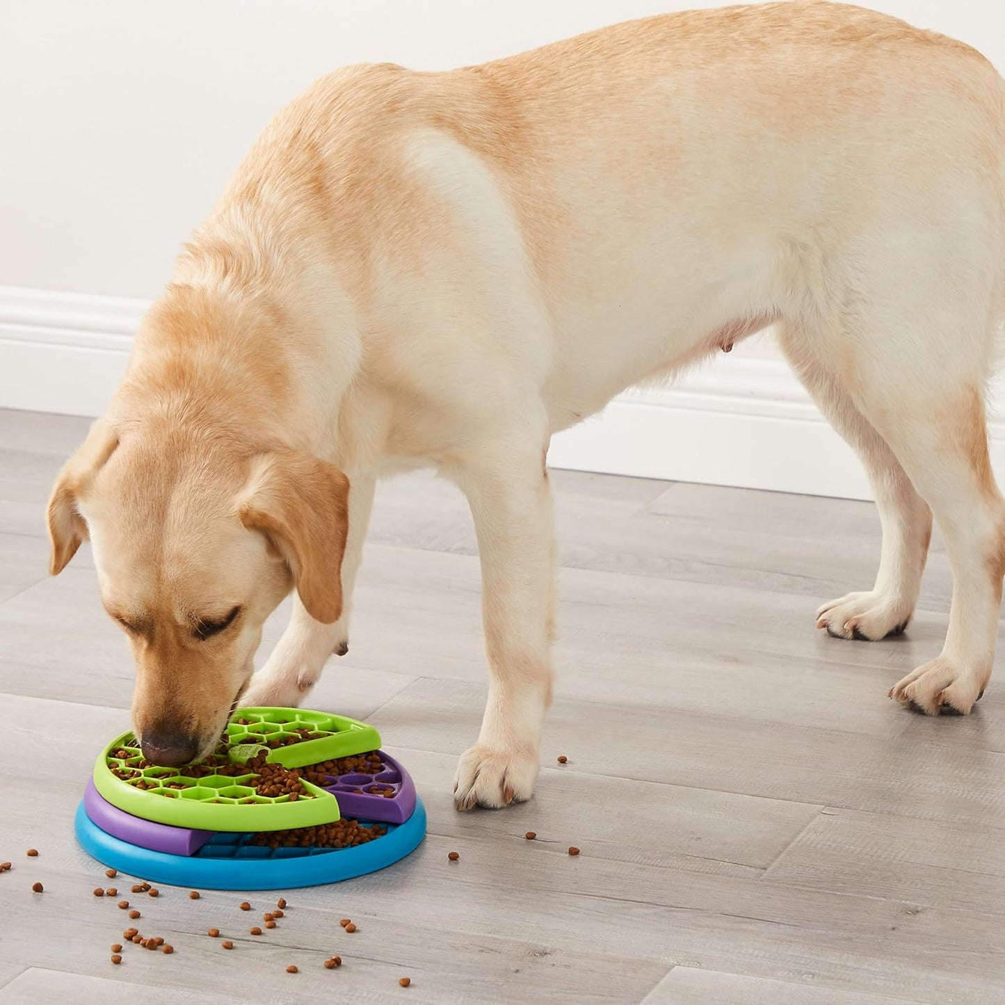 Dog Puzzle Feeder