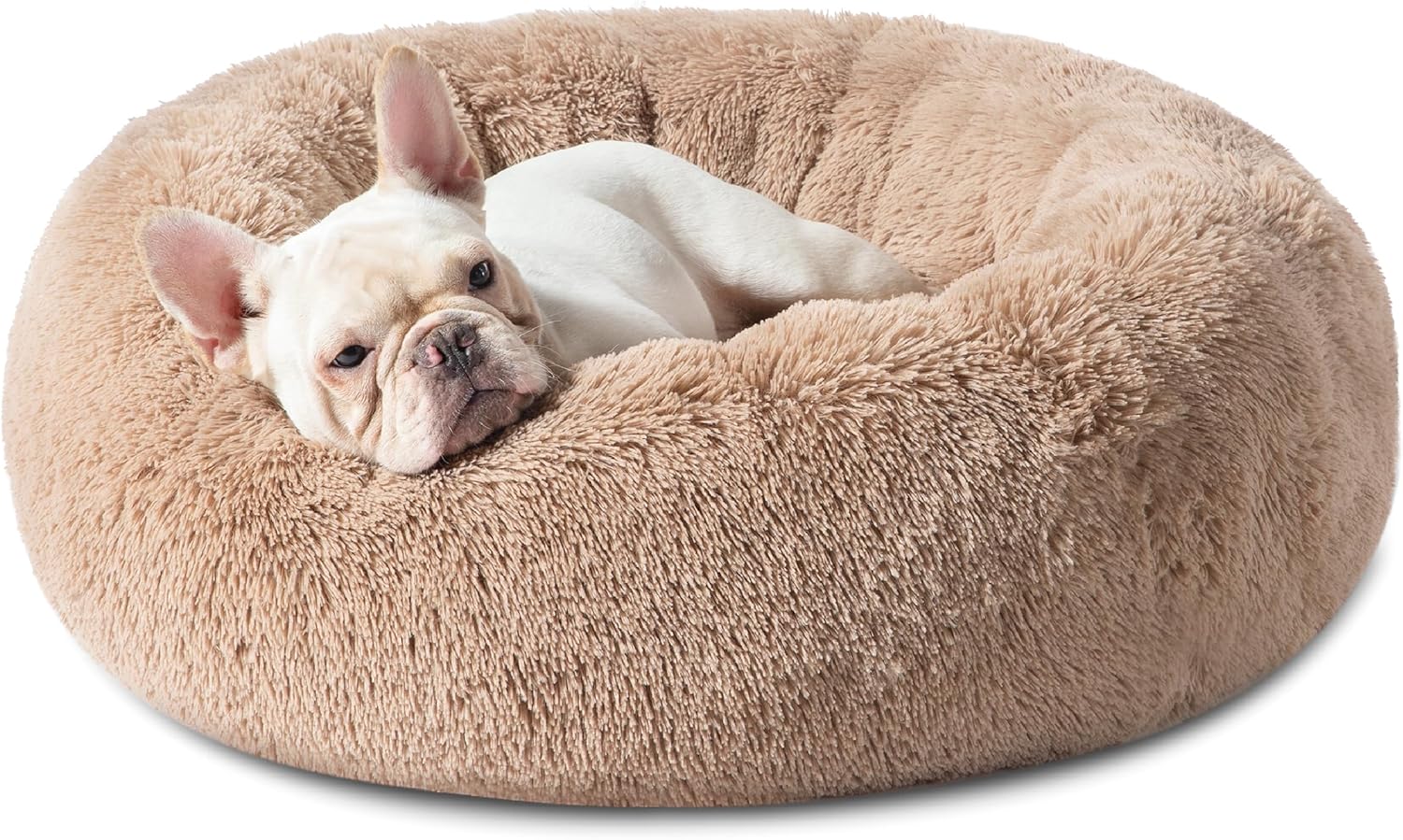 Donut Dog Bed