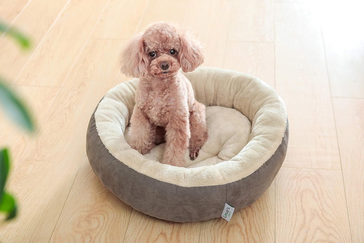 Round Donut Cat Bed