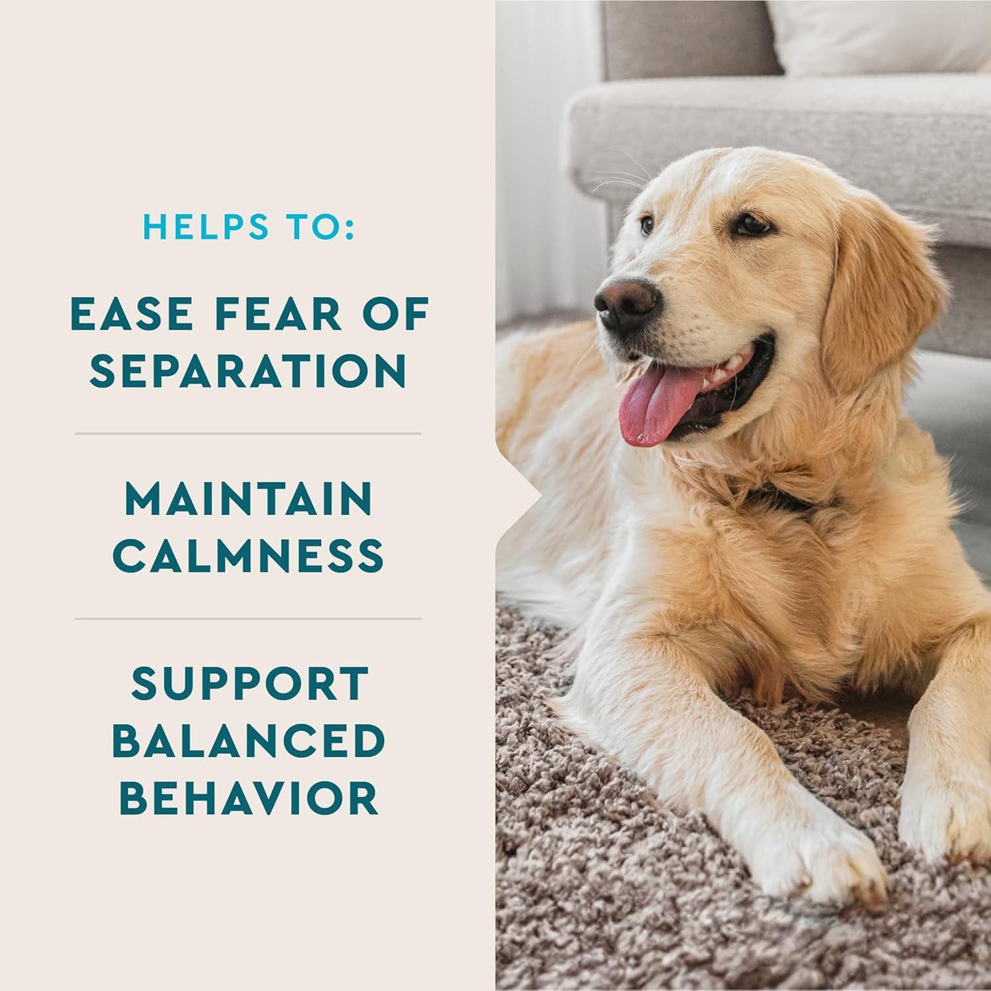 Calming Support Supplement for Dogs