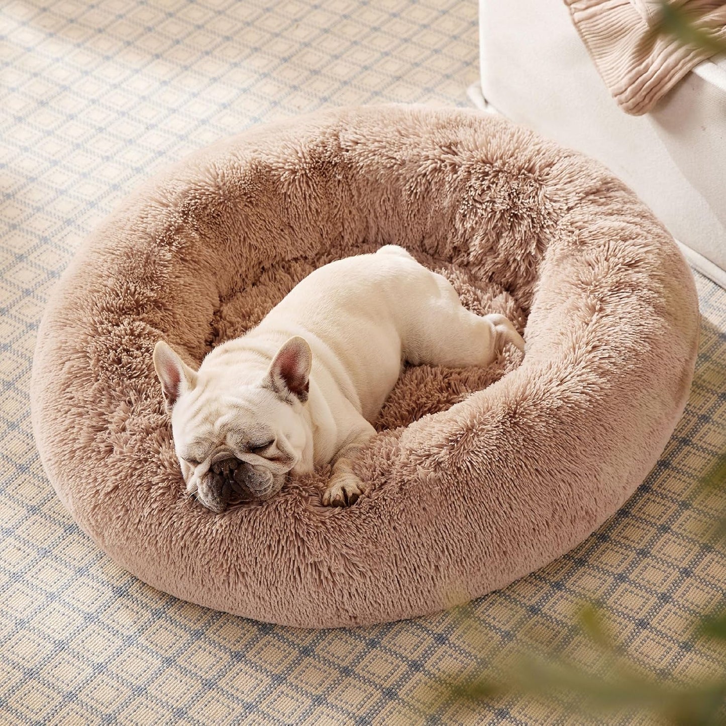 Donut Dog Bed