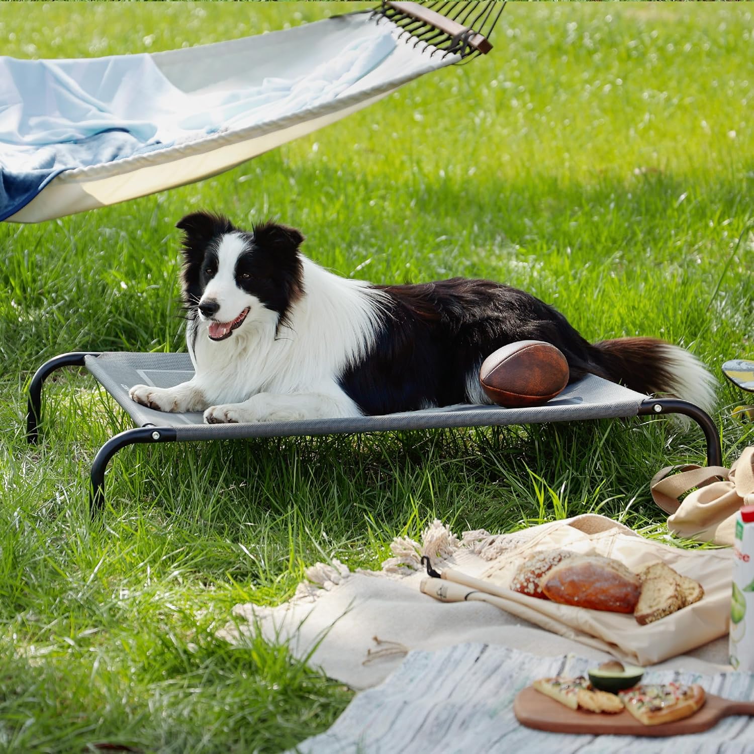 Elevated Cooling Dog Bed