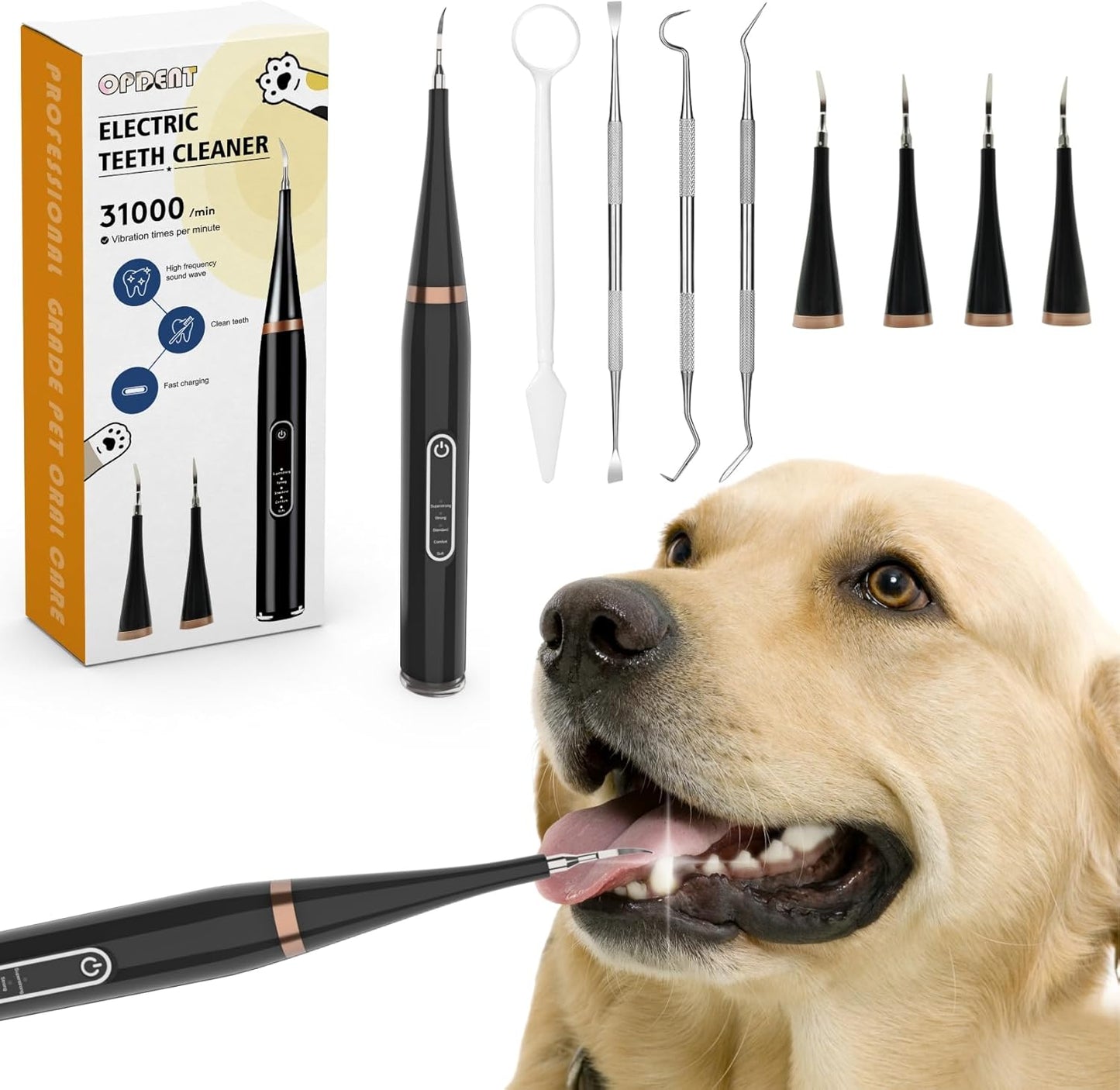 Electric Toothbrush Set for Dogs