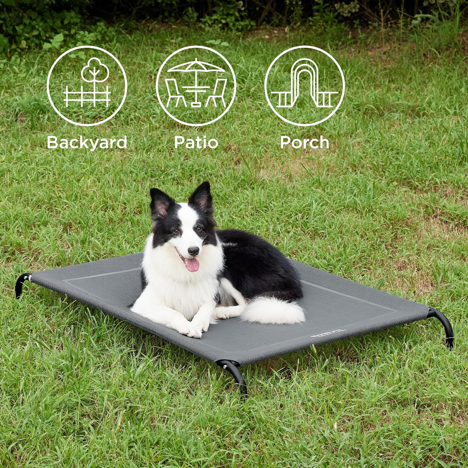 Elevated Cooling Dog Bed