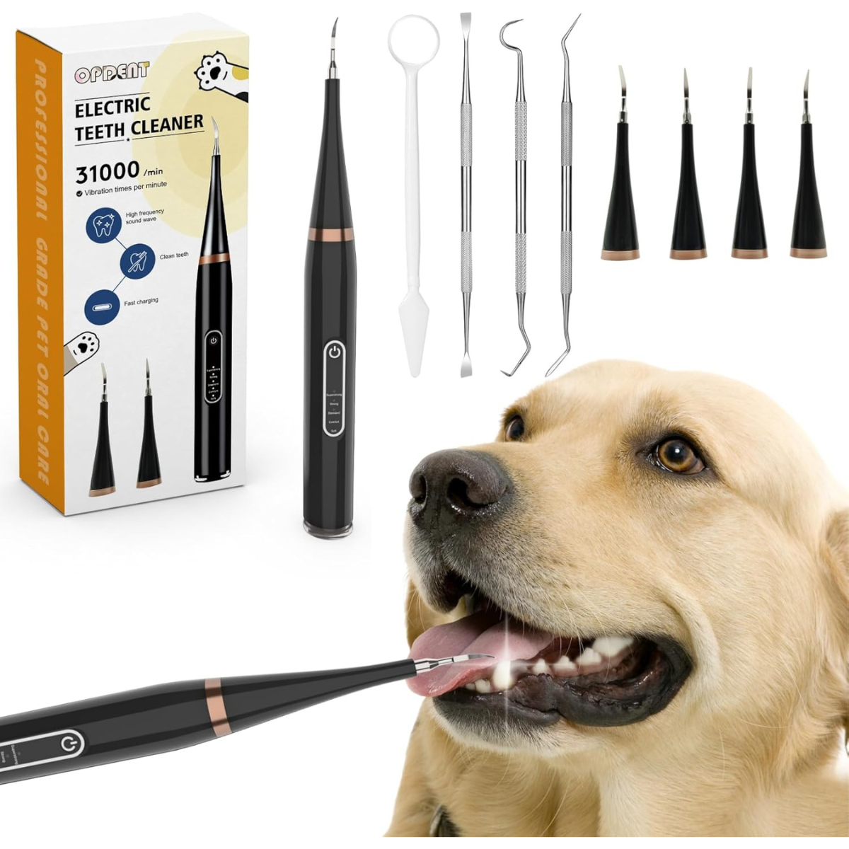 Electric Toothbrush Set for Dogs