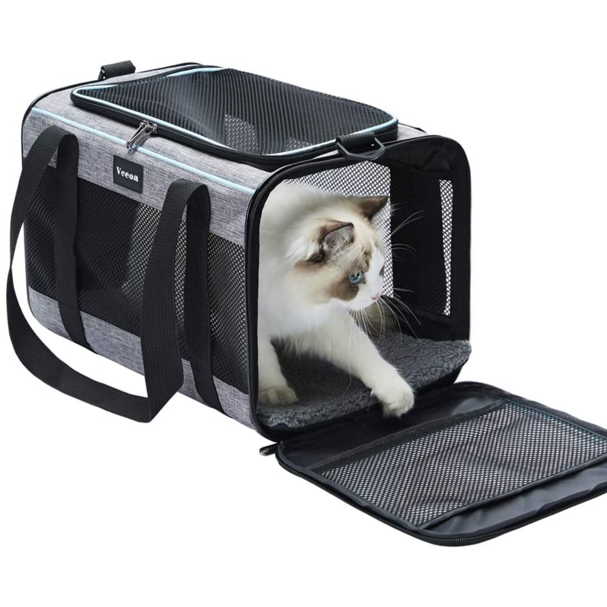 Pet Travel Carrier