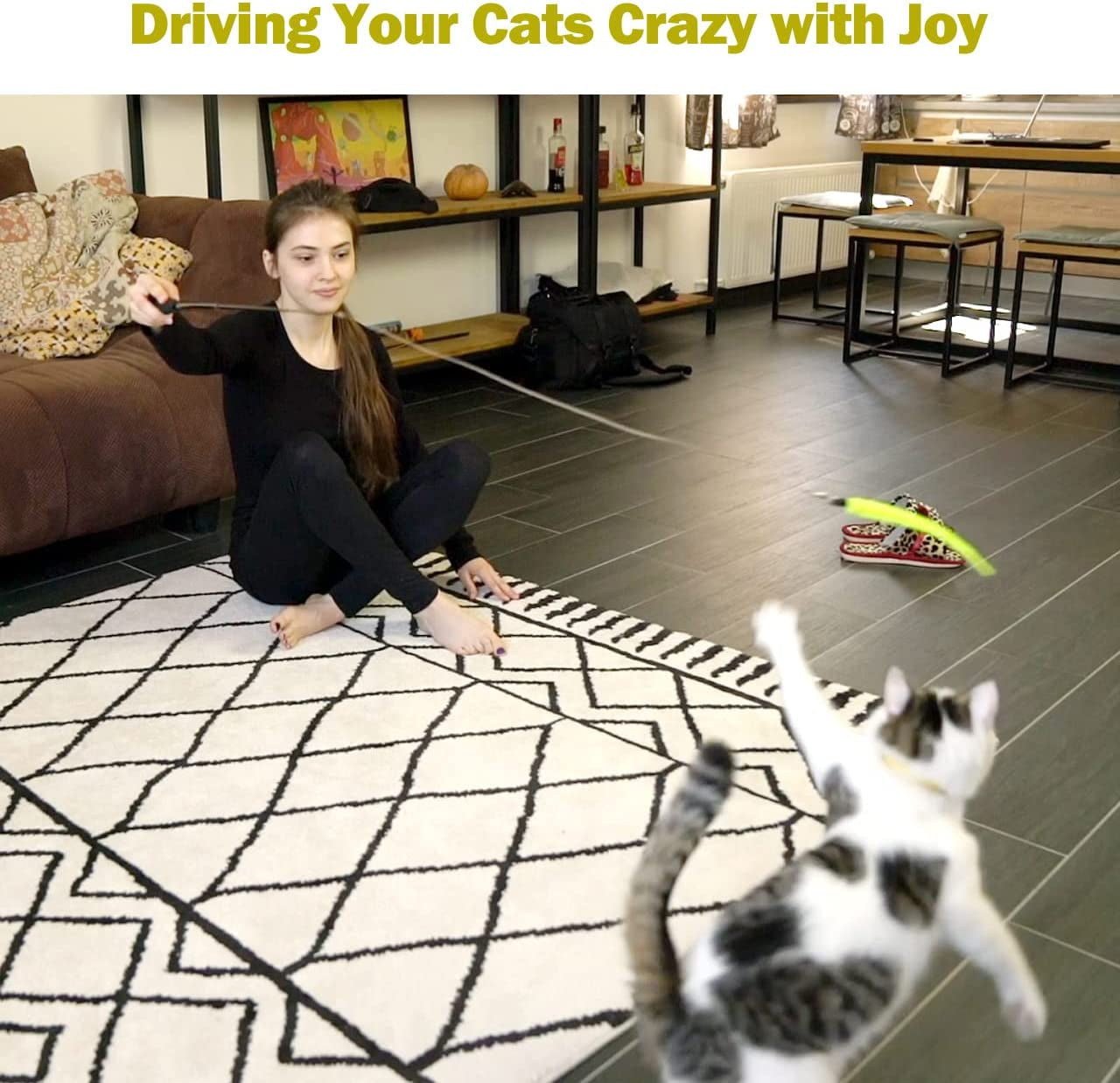 Interactive Cat Toy