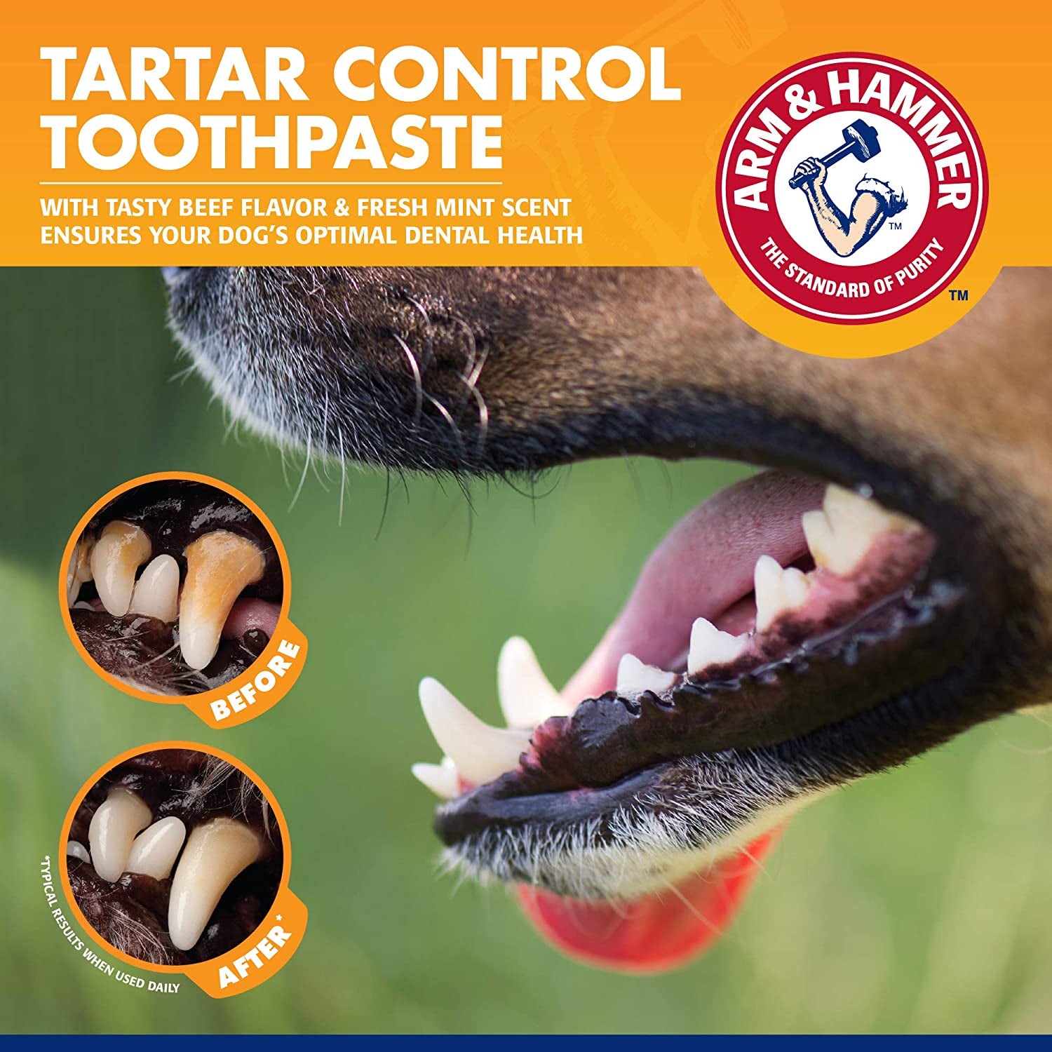 Tartar Control Kit for Dogs