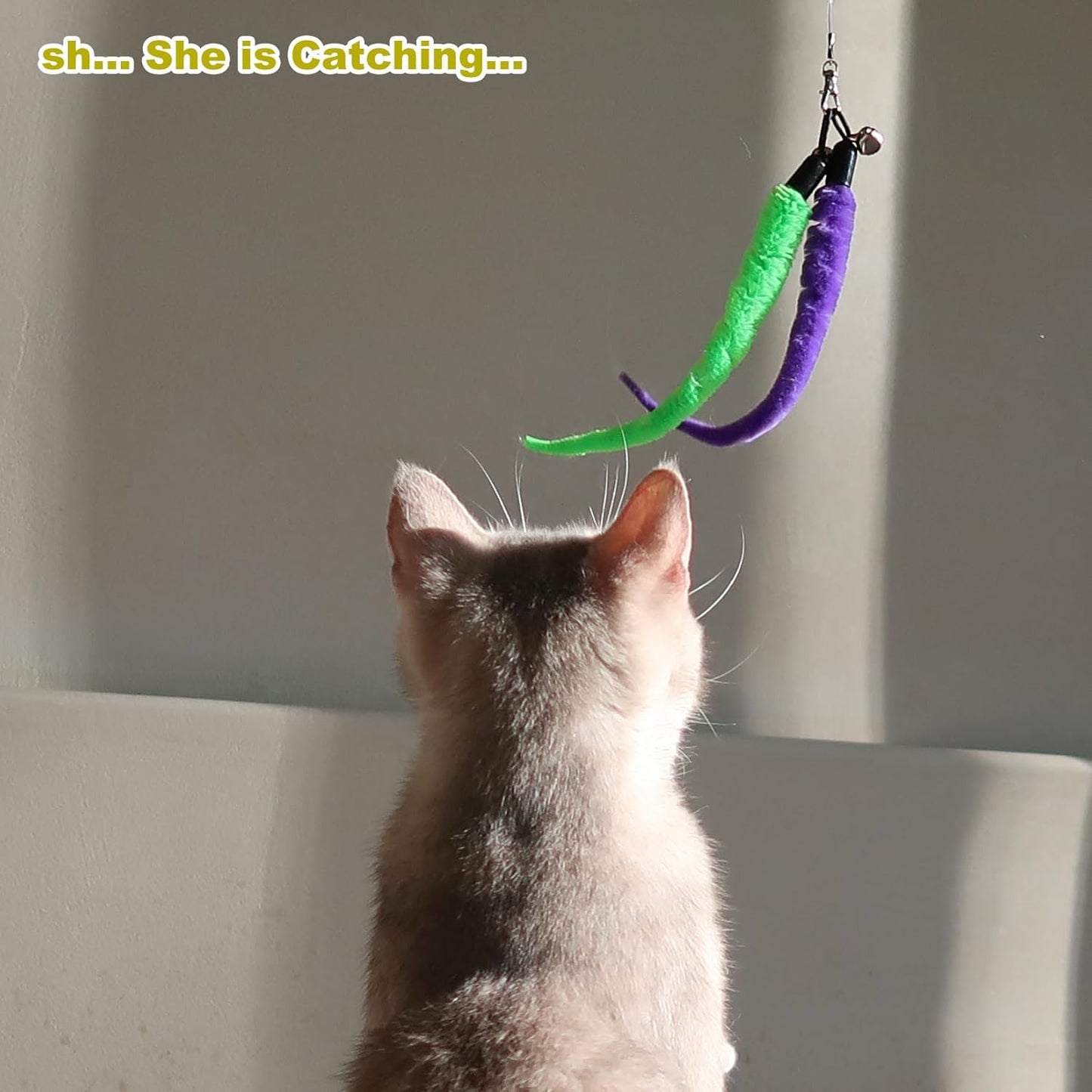 Interactive Cat Toy