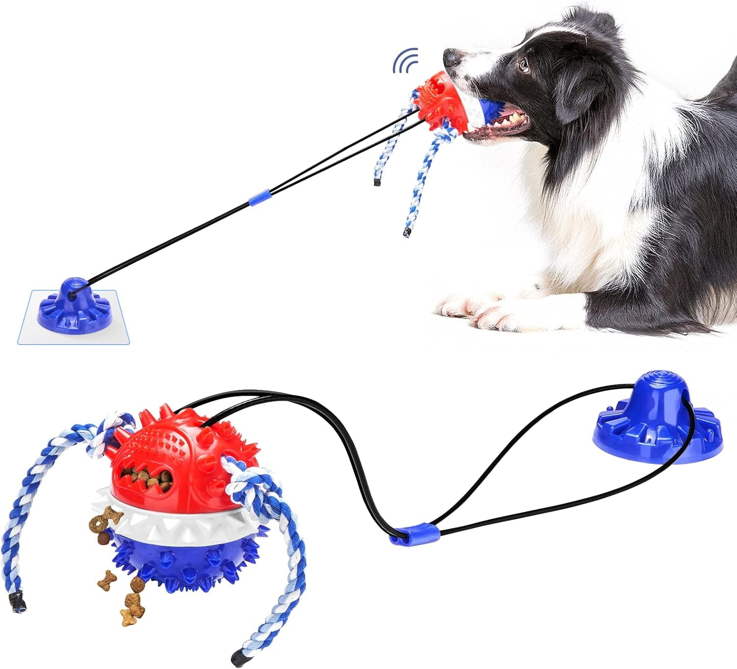 Suction Cup Tug of War Dog Toy